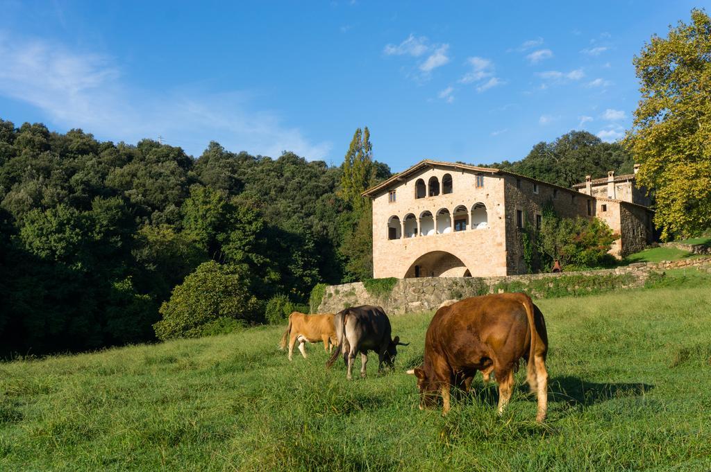Casa Rural El Callis La Vall de Bianya Exterior foto